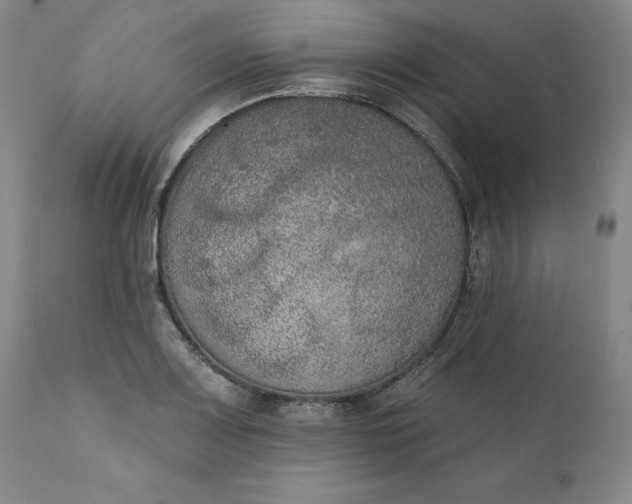 X0000111441083200907271124