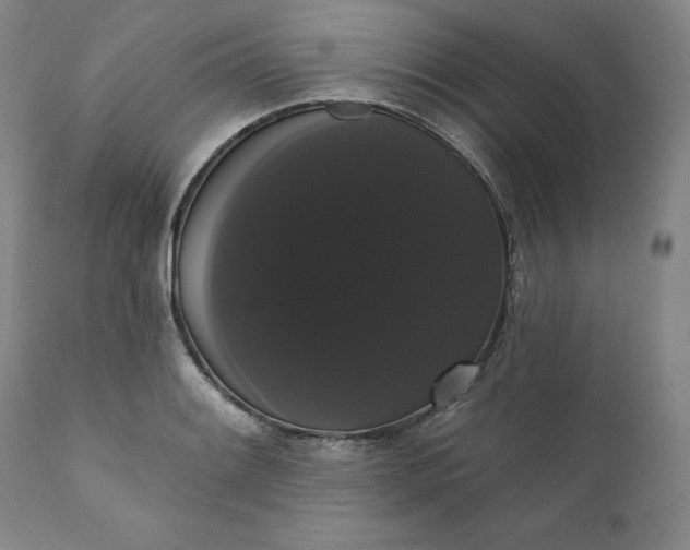 X0000111441084200907271124