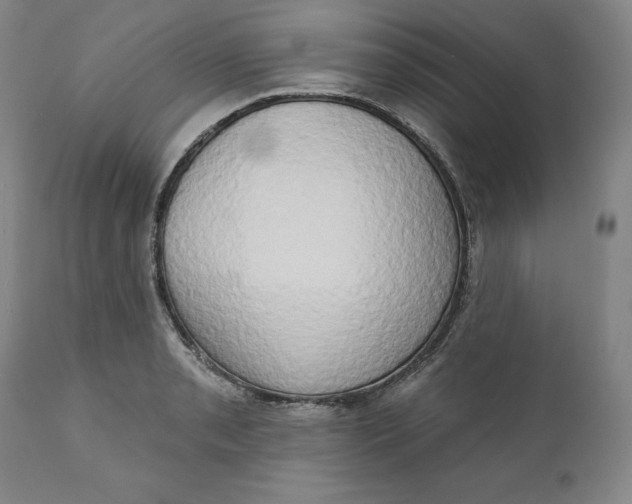 X0000111441085200907271124