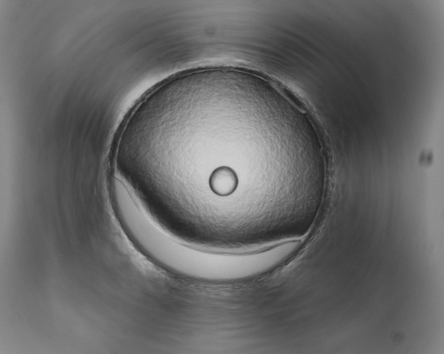 X0000111441086200907271124