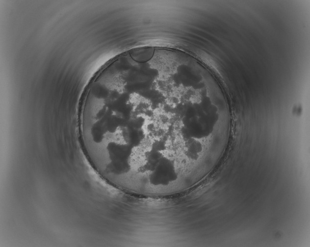 X0000111441087200907271124