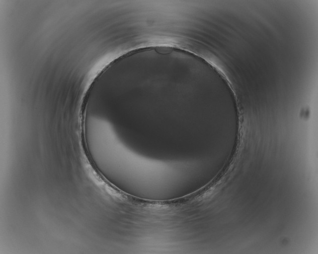 X0000111441088200907271124