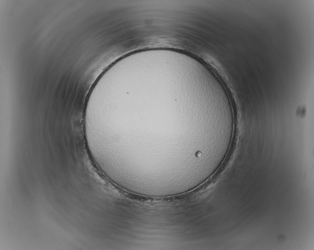 X0000111441089200907271124