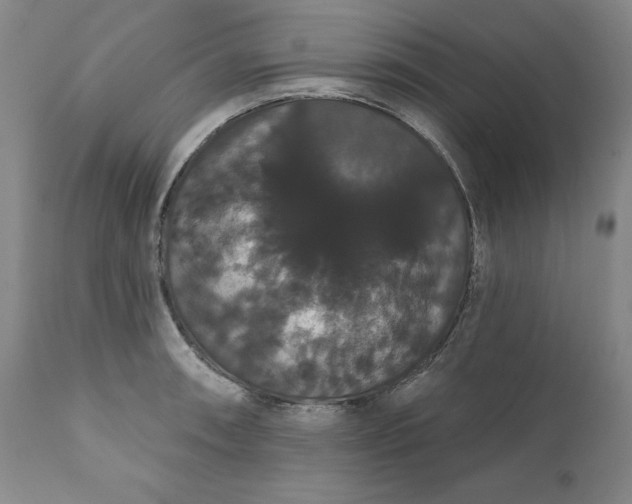 X0000111441090200907271124