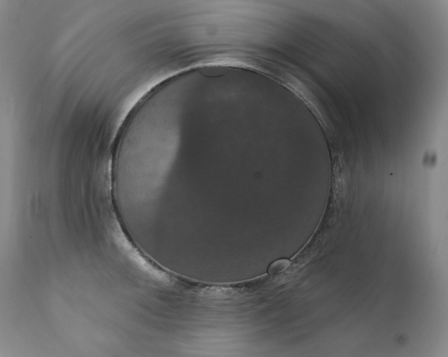 X0000111441092200907271124