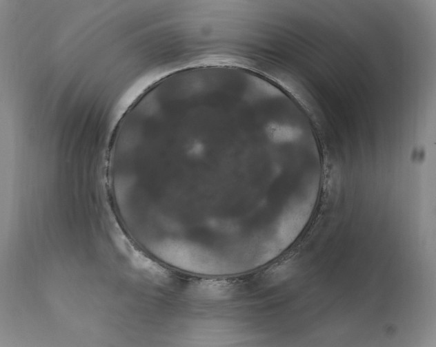 X0000111441094200907271124