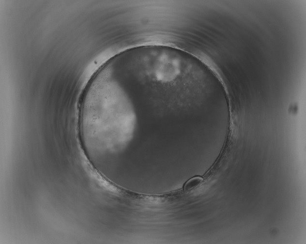 X0000111441096200907271123