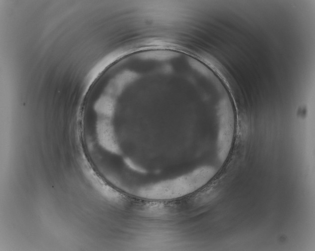 X0000111441098200907271123