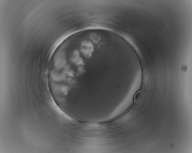 X0000111441100200907271123