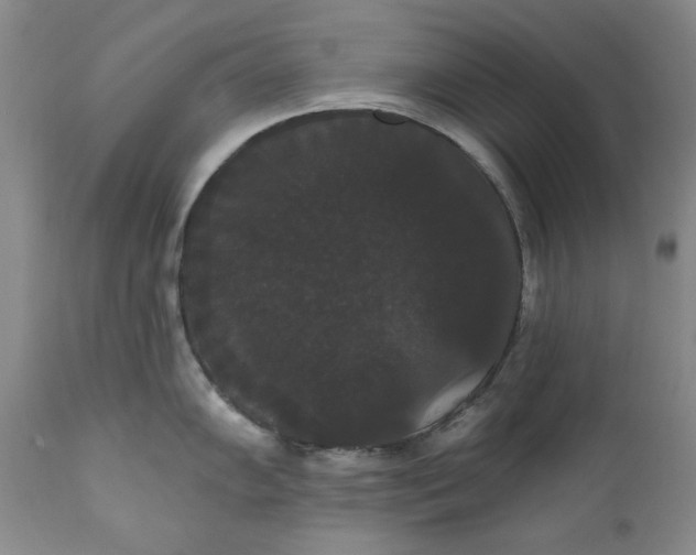 X0000111441102200907271123