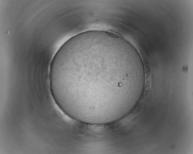 X0000111441103200907271123