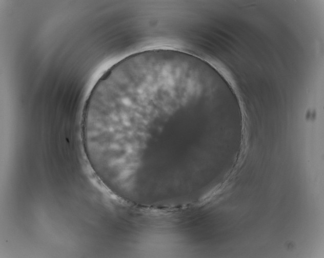 X0000111441104200907271123