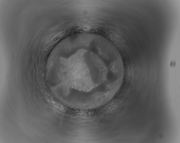 X0000111441105200907271123