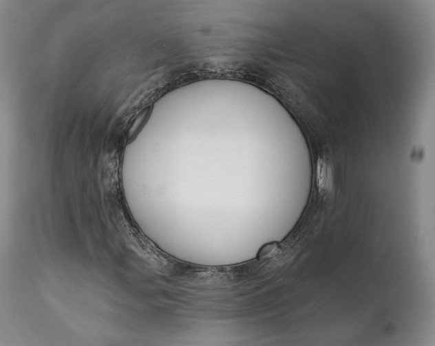 X0000111441107200907271123