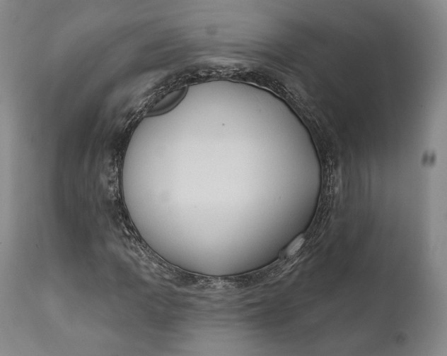 X0000111441109200907271123