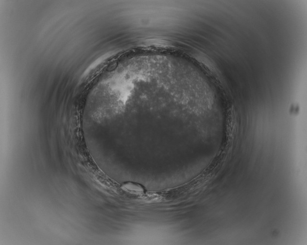 X0000111441112200907271123