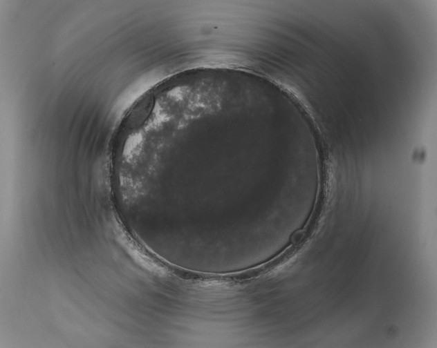 X0000111441114200907271123