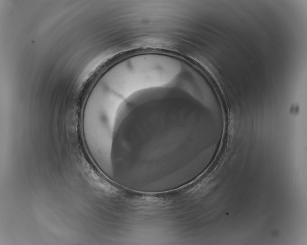 X0000111441115200907271123