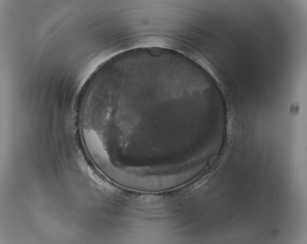 X0000111441116200907271123