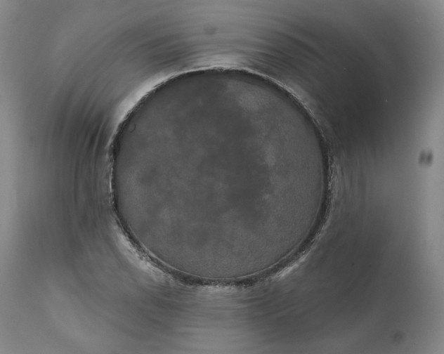 X0000111441118200907271123