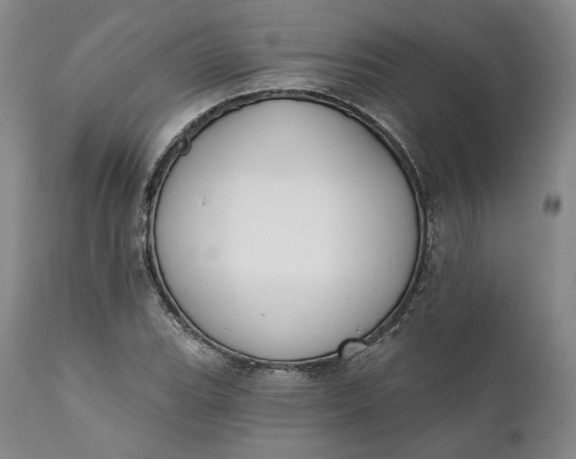 X0000111441119200907271123