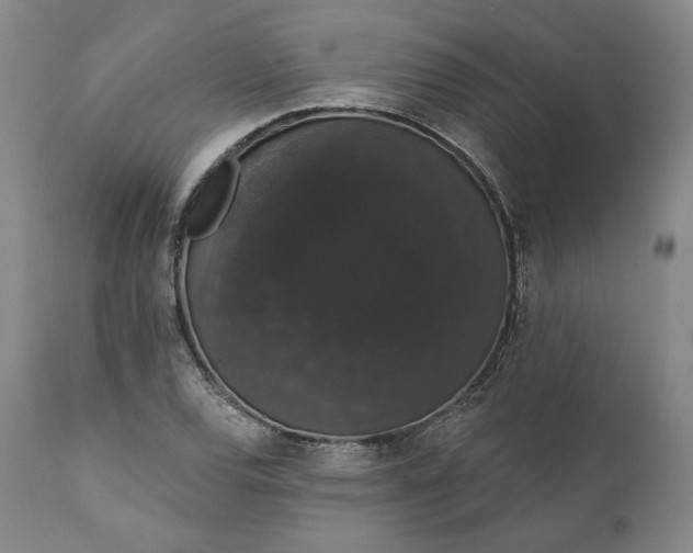 X0000111441120200907271123