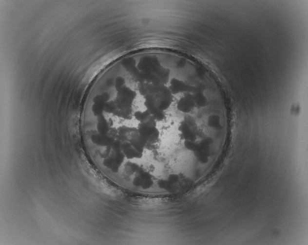 X0000111441121200907271123