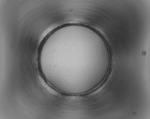 X0000111441122200907271123