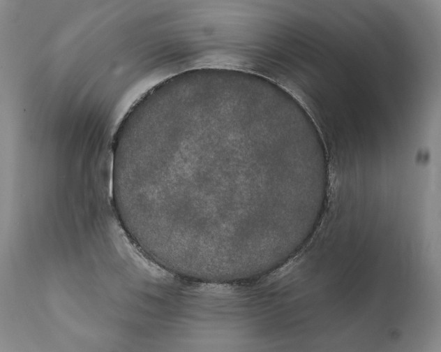 X0000111441123200907271123