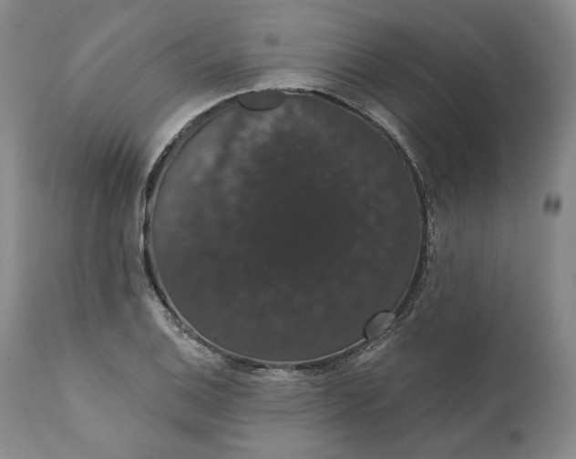 X0000111441124200907271123