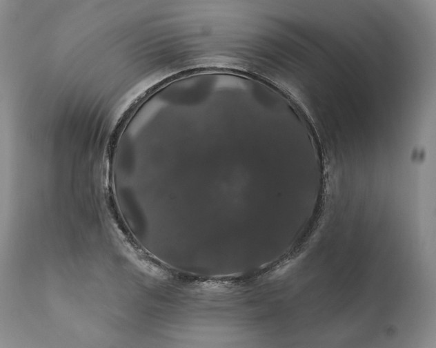 X0000111441125200907271123