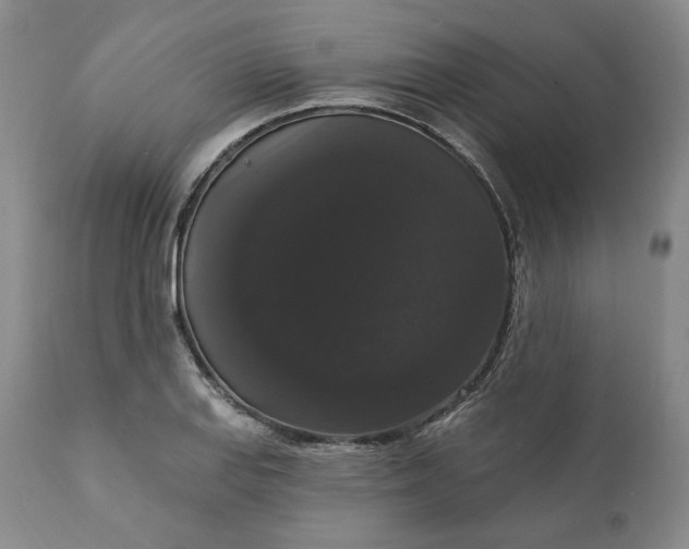 X0000111441127200907271123