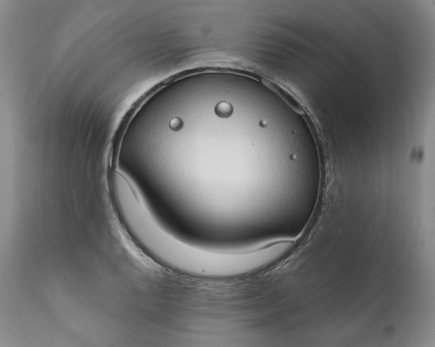 X0000111441128200907271123