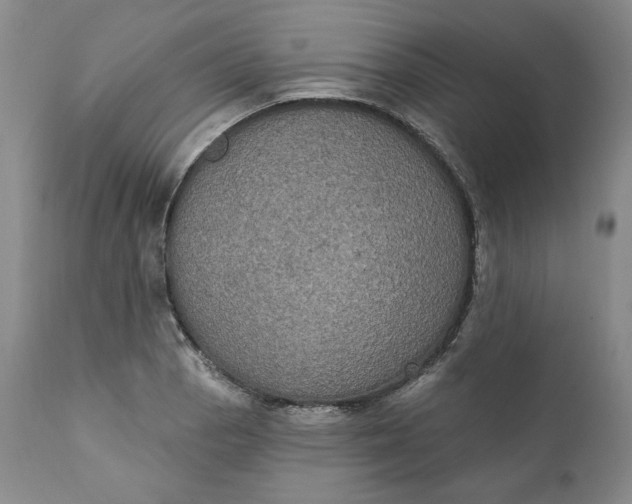 X0000111441129200907271123