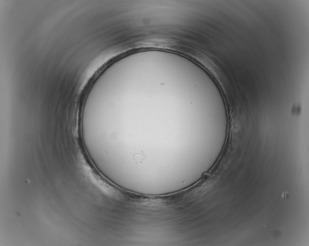 X0000111441131200907271123