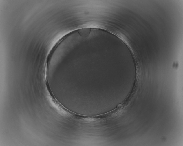 X0000111441132200907271123