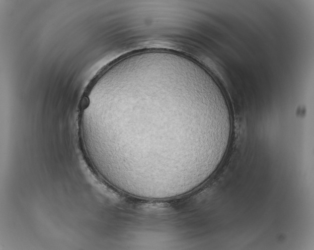 X0000111441133200907271123