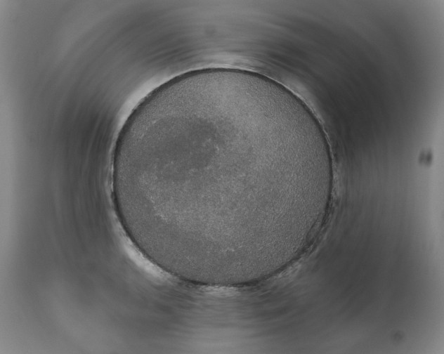 X0000111441136200907271123