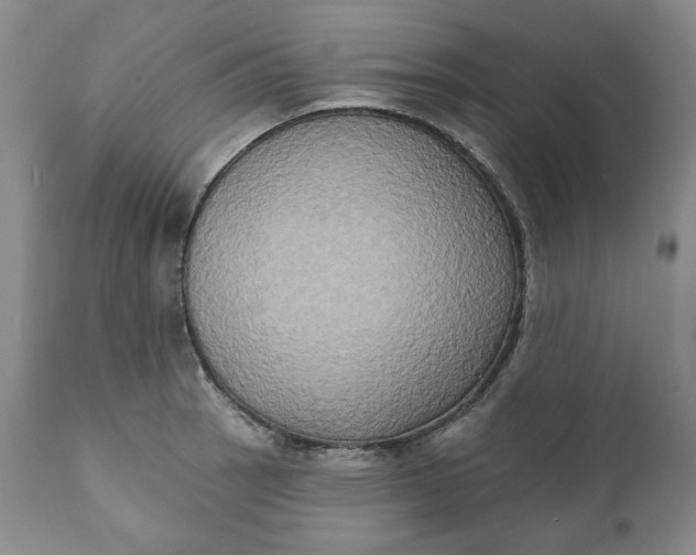 X0000111441137200907271123