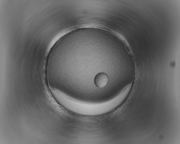 X0000111441138200907271123