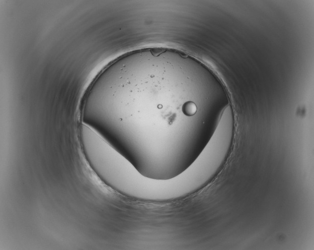 X0000111441140200907271123