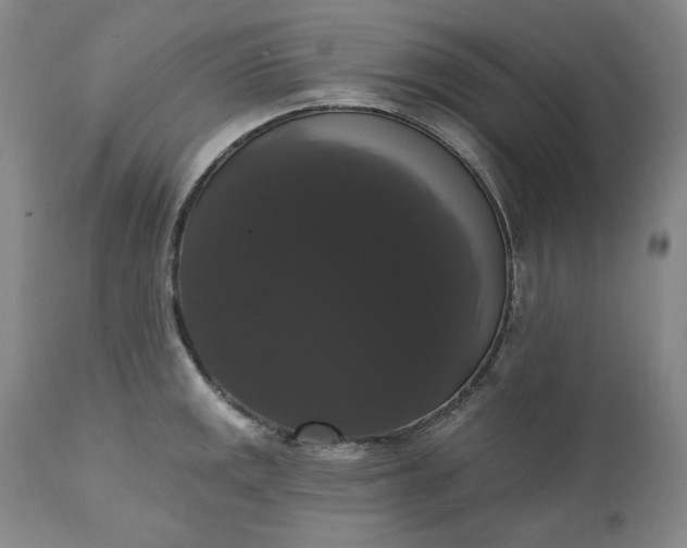 X0000111441141200907271123