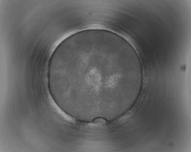 X0000111441142200907271123