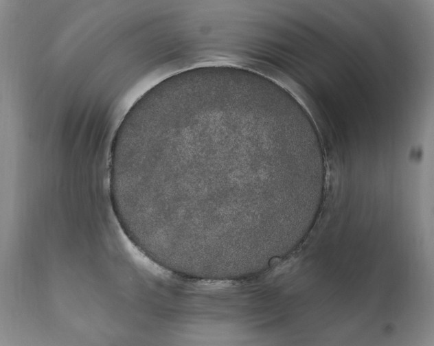 X0000111441143200907271123