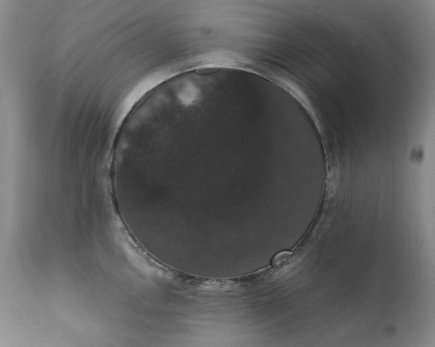 X0000111441146200907271123