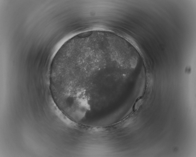 X0000111441148200907271123