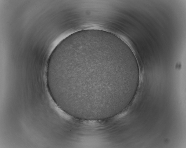 X0000111441149200907271123