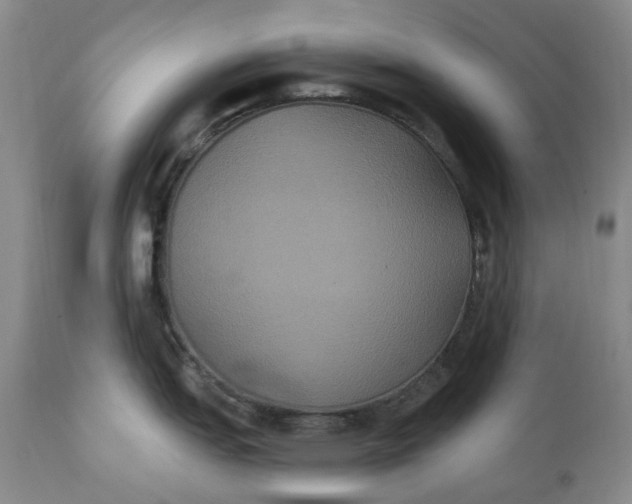 X0000111441151200907271123