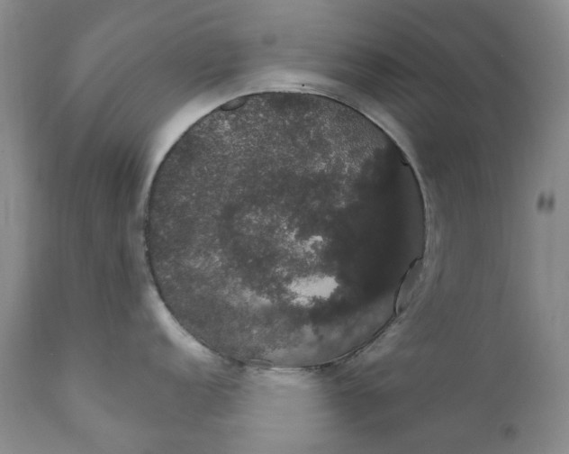 X0000111441152200907271123