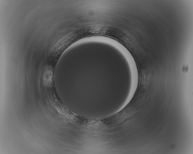 X0000111441154200907271123